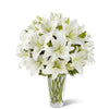 Organie Vegetable