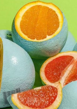 Why We Need Our Bees To Keep Buzzing!