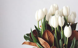 Mood swings make a vegetables arrangement